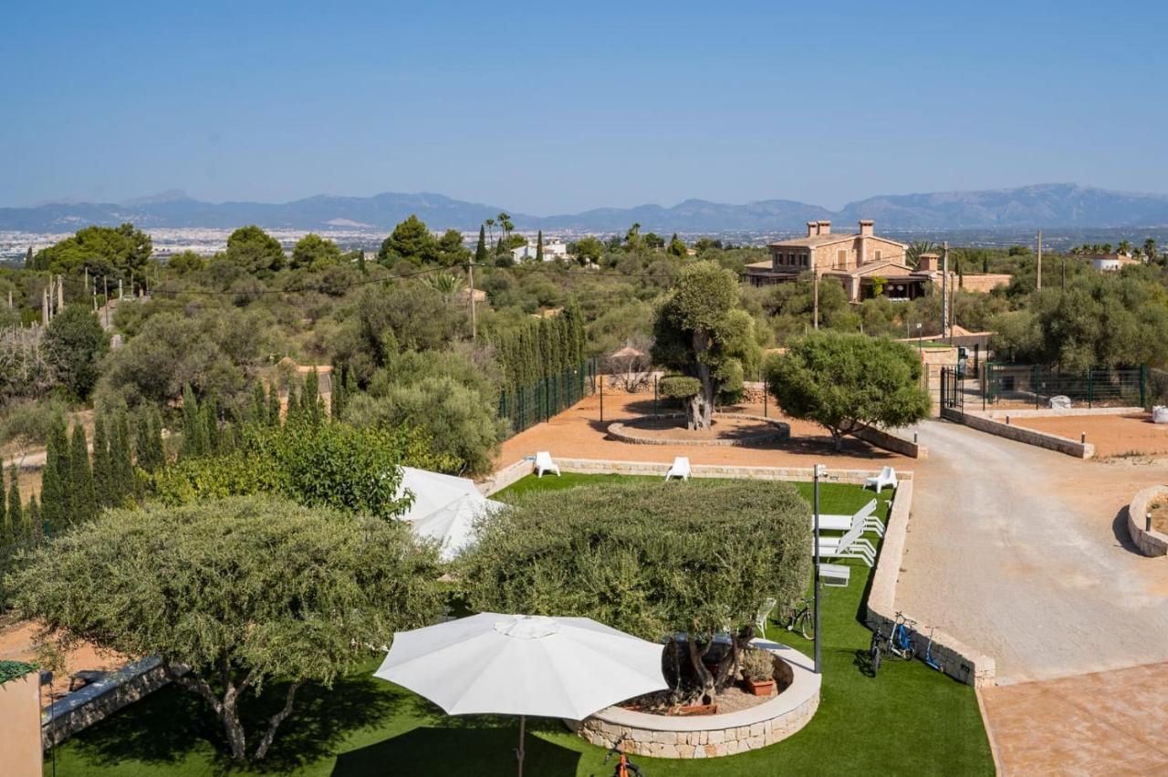 Villa Can Bellmunt Playa de Palma  Eksteriør billede